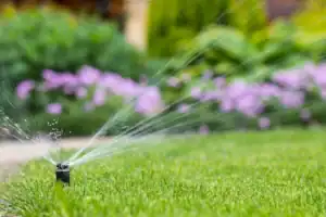 sprinkler watering the lawn with flowers in the background