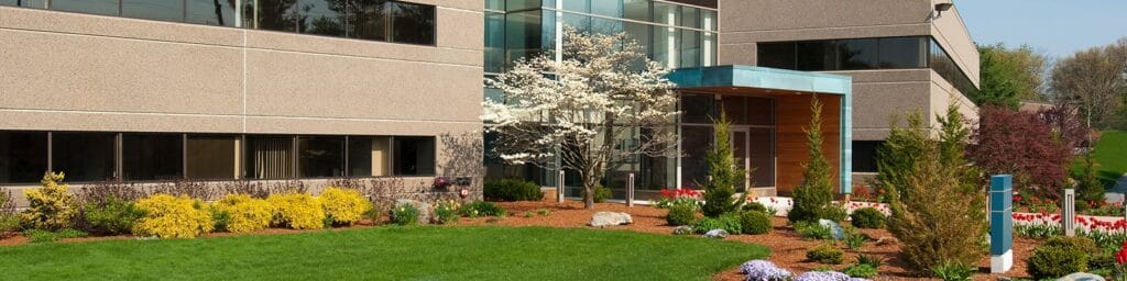 Exterior landscaping in office park